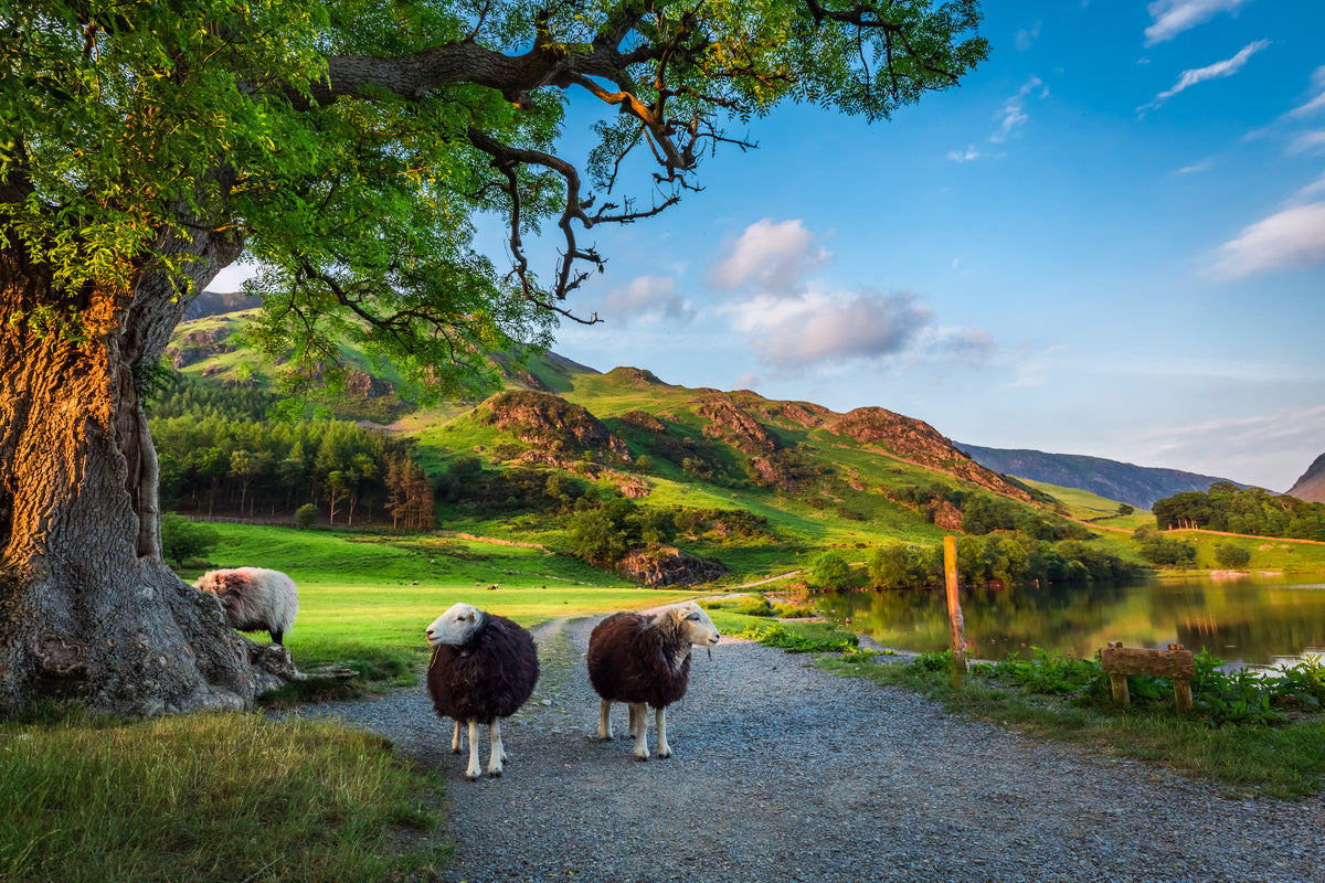 5 of The Best Walking Routes in the Lake District